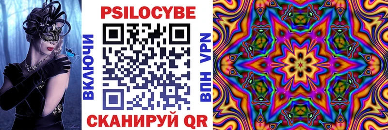 Купить закладки  Чкаловск  Галлюциногенные грибы Psilocybine cubensis 